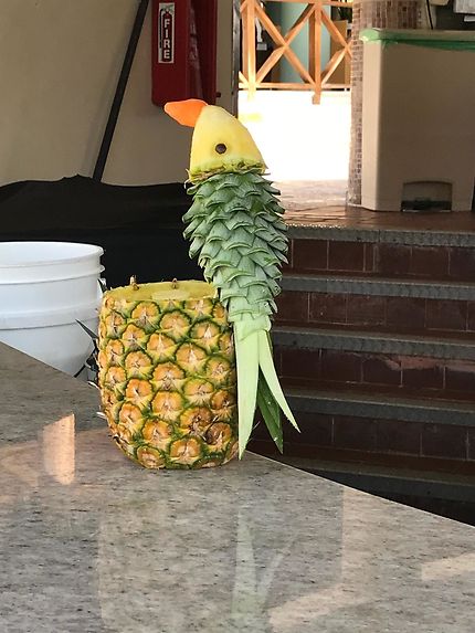 Le perroquet, République dominicaine