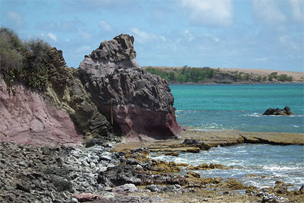 Savane des pétrifications