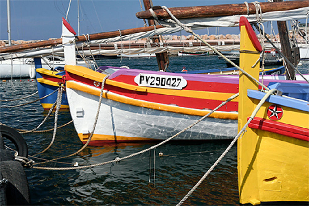 Barques Catalanes