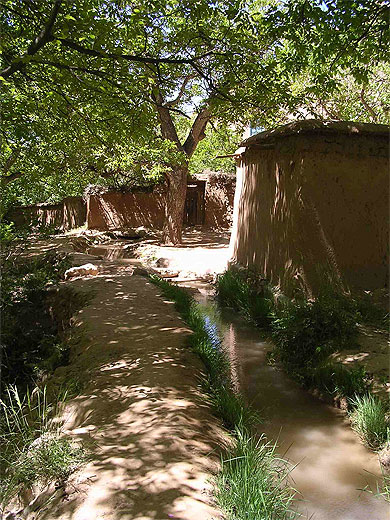 Irrigation dans la palmeraie Irrigation dans la palmeraie