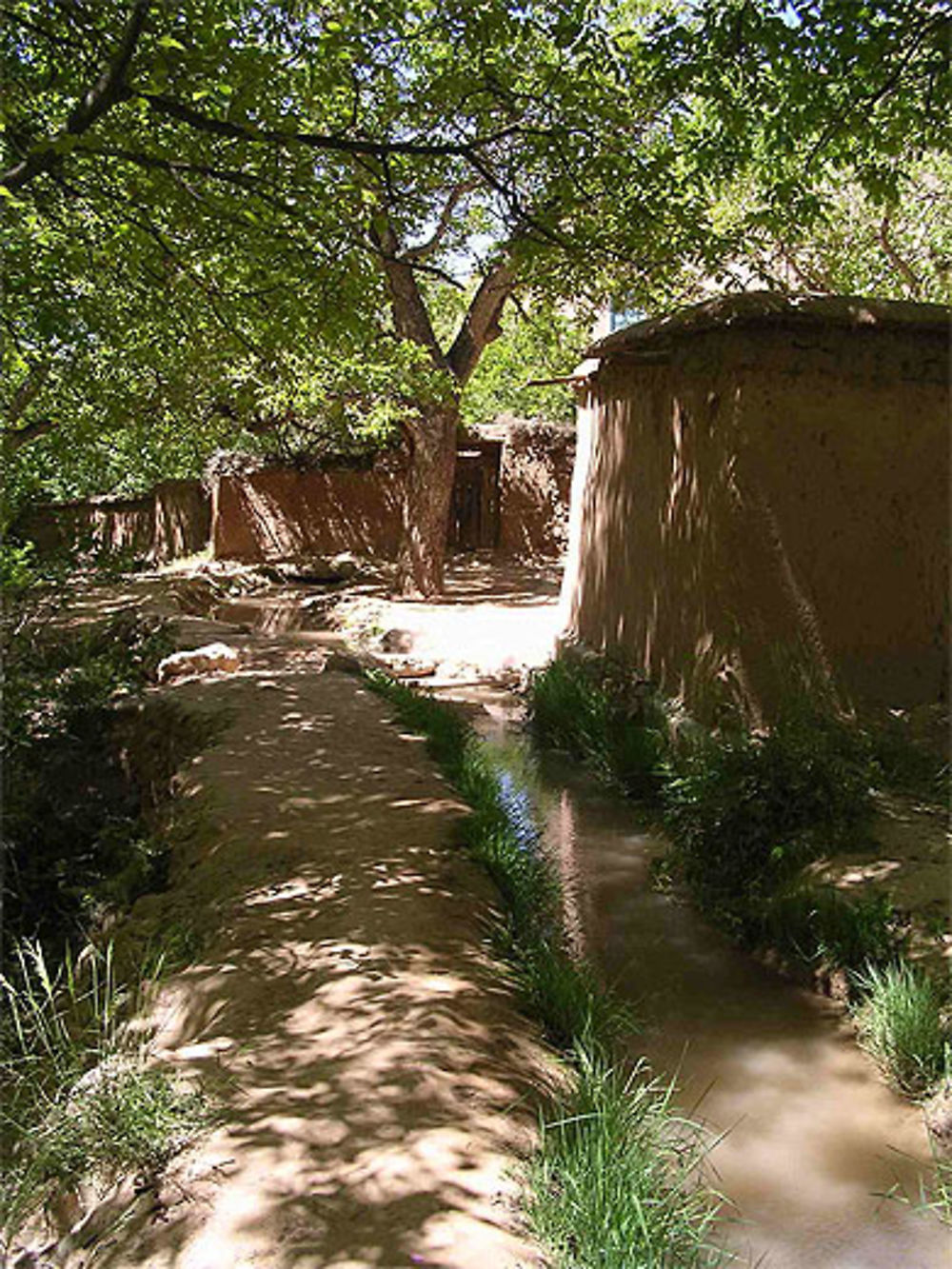 Irrigation dans la palmeraie