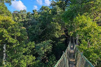 La Guyane en Immersion