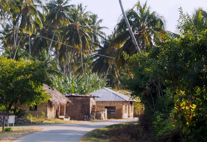 Paysage kizimkazi Paysage kizimkazi