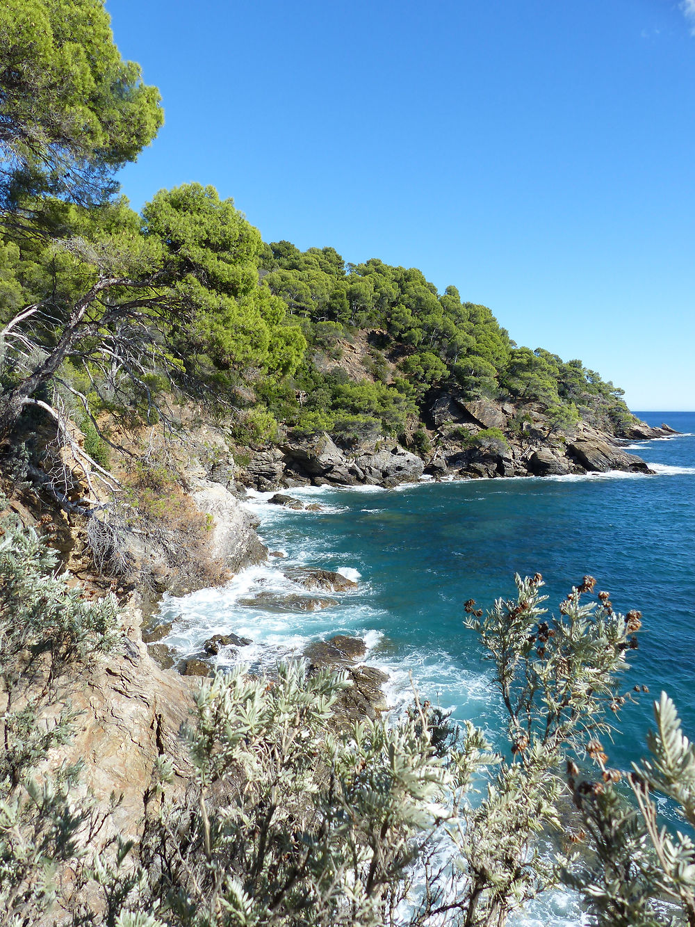 La mer depuis les jardins de Rayol