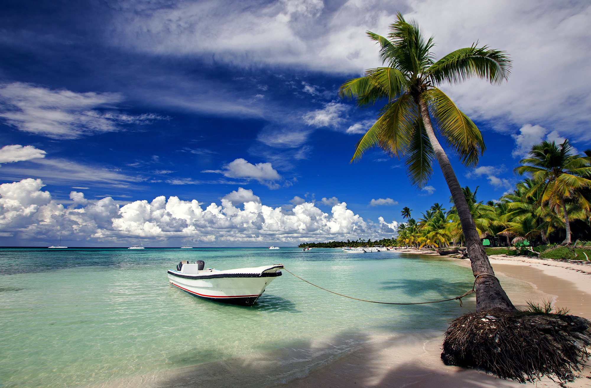 Les 5 meilleurs sites à visiter dans la République Dominicaine