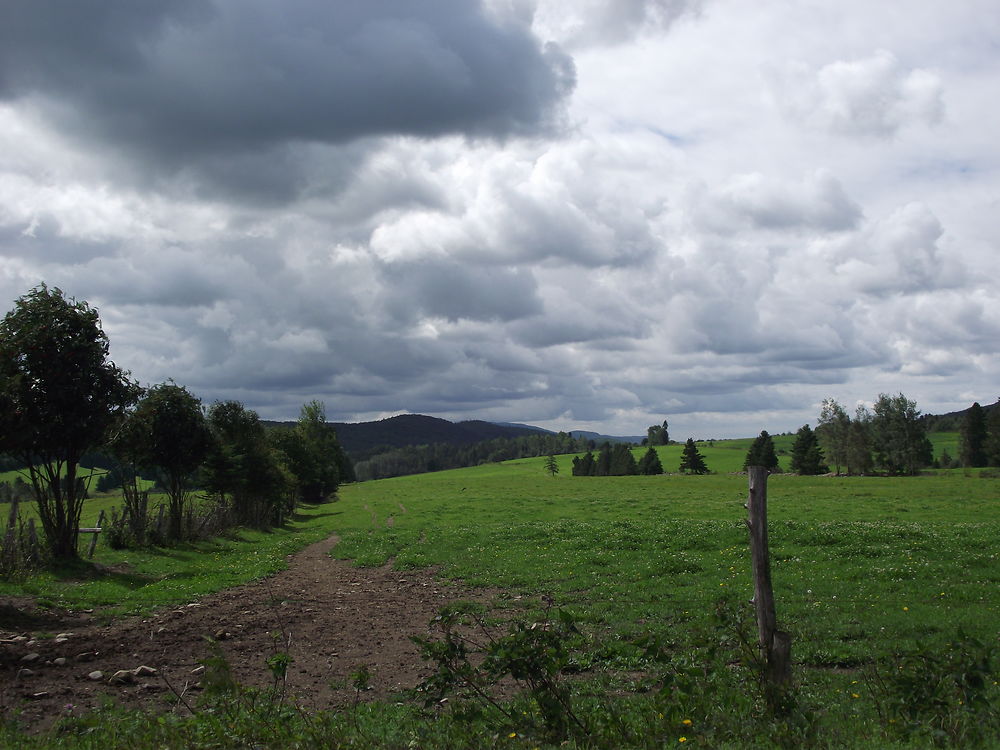 Paysage à St-Octave-de-Métis