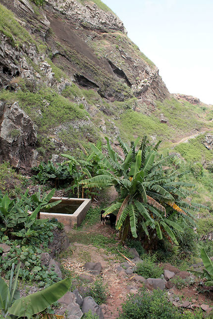 Source, bassin et oasis à Chula