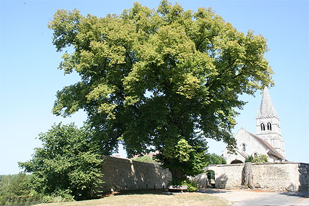 Eglise de Saint-Vaast-de-Longmont Eglise de Saint-Vaast-de-Longmont