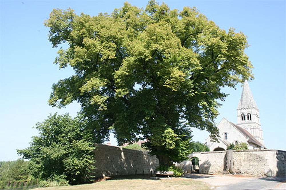 Eglise de Saint-Vaast-de-Longmont