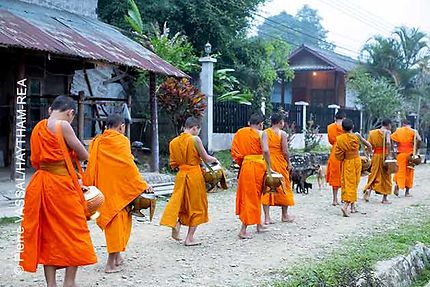 Le Laos en Immersion
