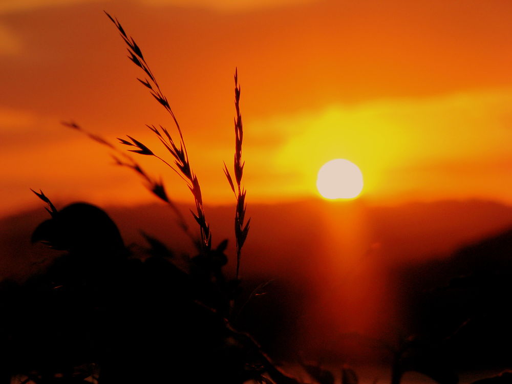 Sunset on the hill of Coffs Harbour