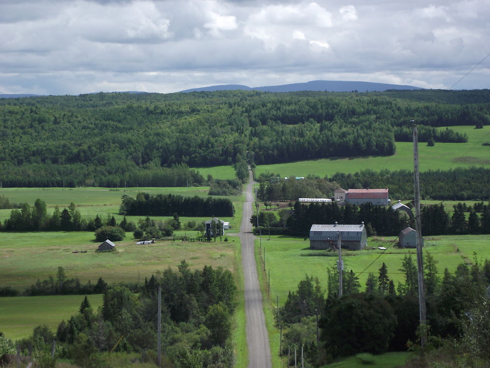 Paysage à St-Octave-de-Métis