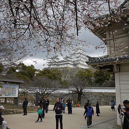 Château d'Himeji avant les sakuras