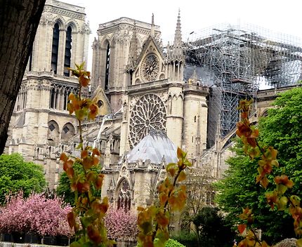 Drame et émotion pour Notre-Dame de Paris