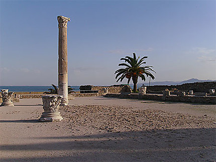 Vue sur Carthage