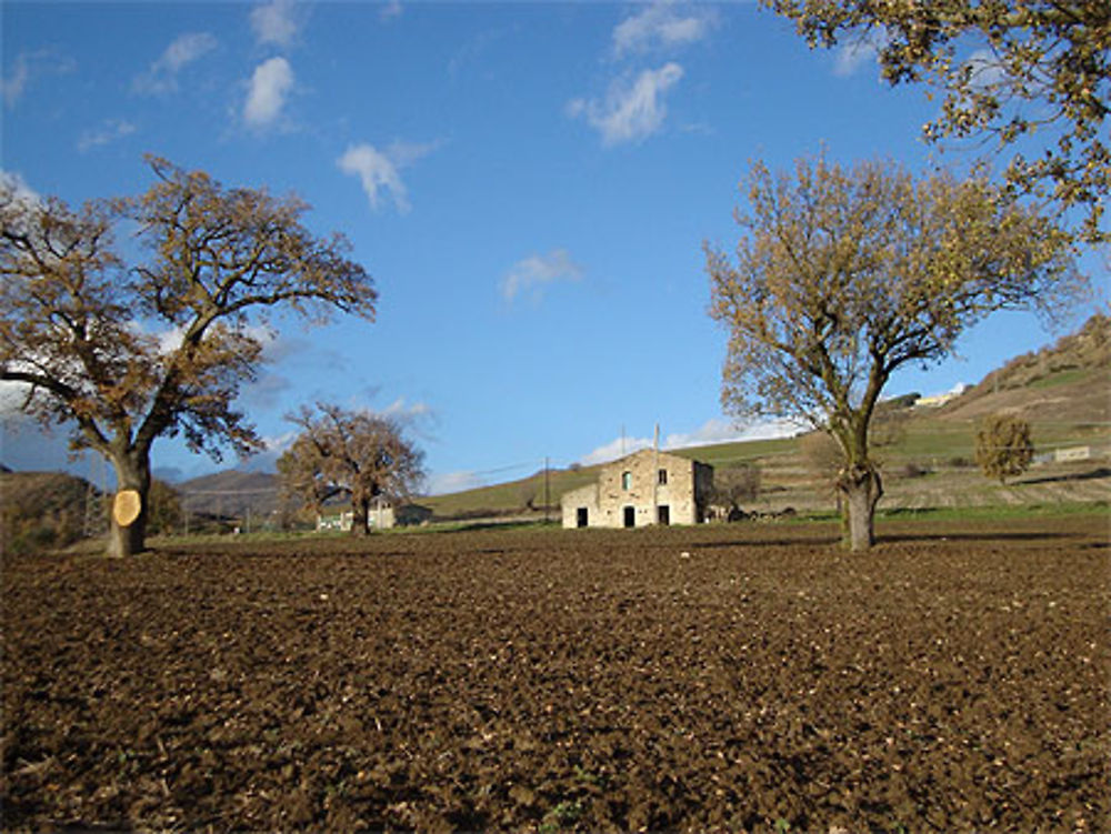 Paysage de Guardia Perticara