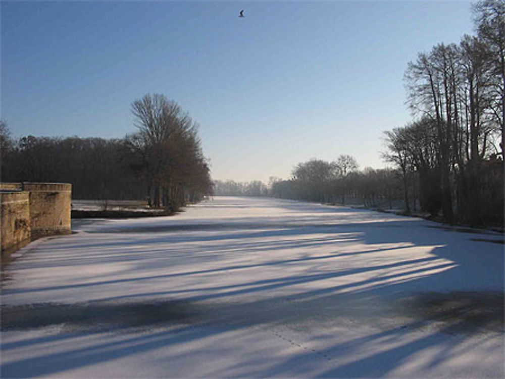 Etang de Marcon