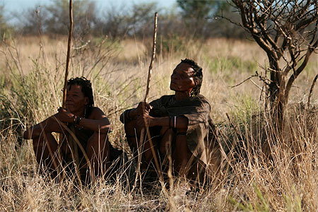 Bushman Bushman