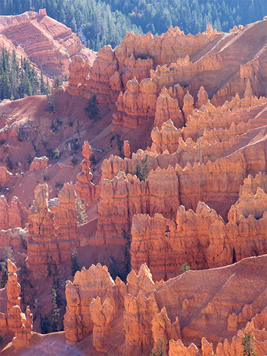 Cedar breaks Cedar breaks