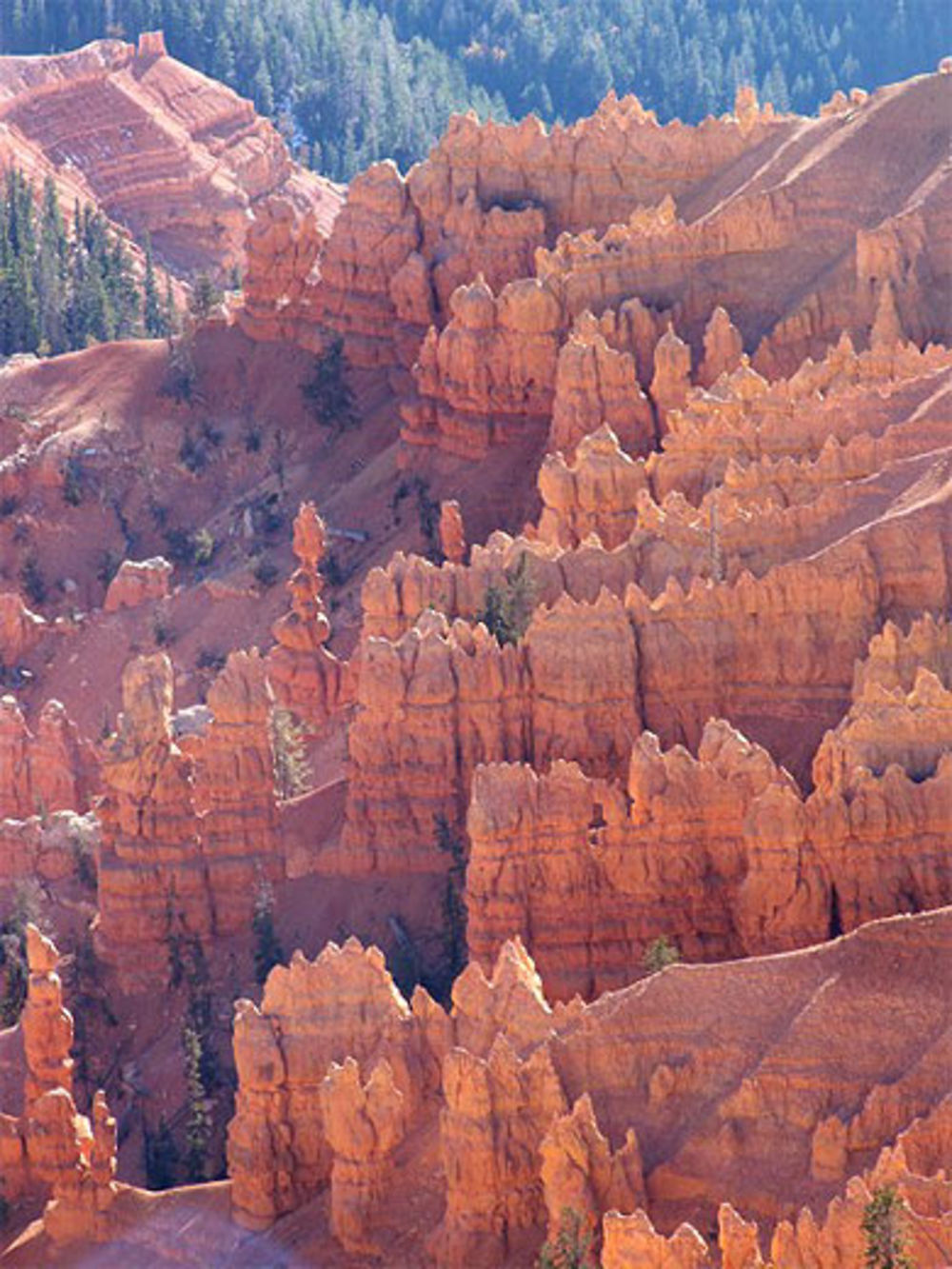 Cedar breaks