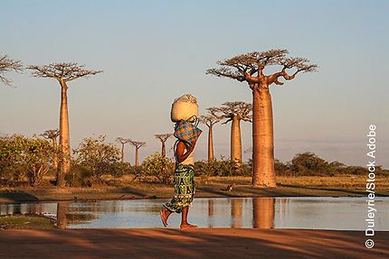 Madagascar en Immersion