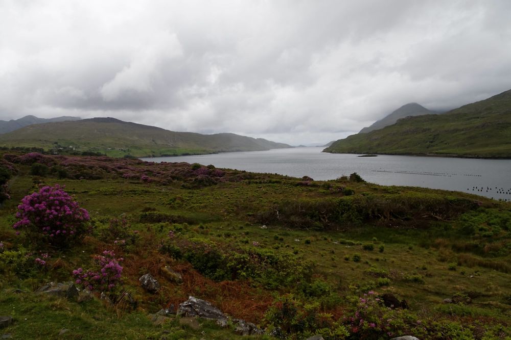 Killary Harbour