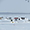 Pêche sur la glace à Rimouski