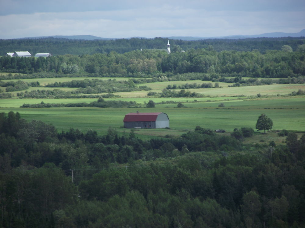 Paysage à St-Octave-de-Métis