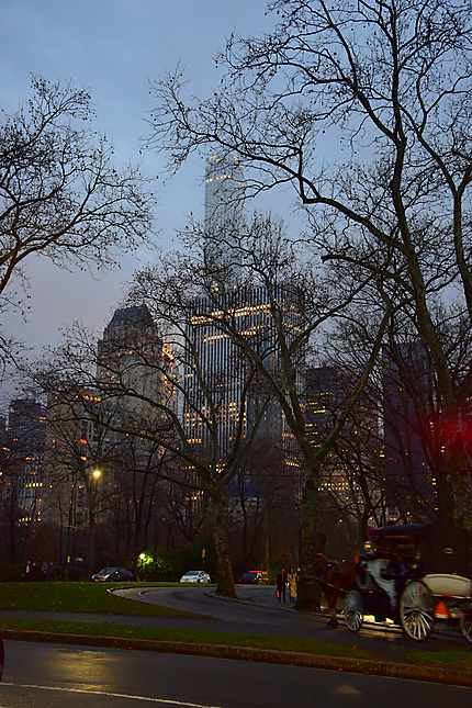 Fin de journée à Central Park