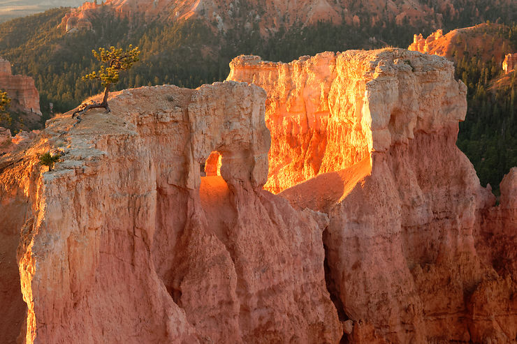 Lever de soleil à Bryce Canyon, USA