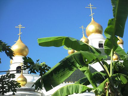 All Saint Orthodox Church