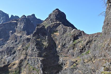 Sentier - Pico Ruivo ( Massif central )