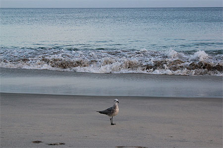 Playa Santa Clara - Côte Pacifique Playa Santa Clara - Côte Pacifique