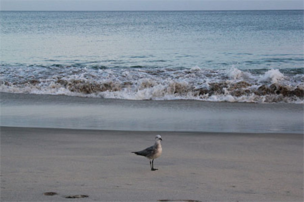 Playa Santa Clara - Côte Pacifique