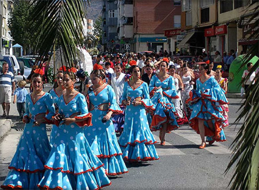 Romeria de Velez Malaga