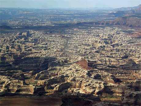 The Maze The Maze