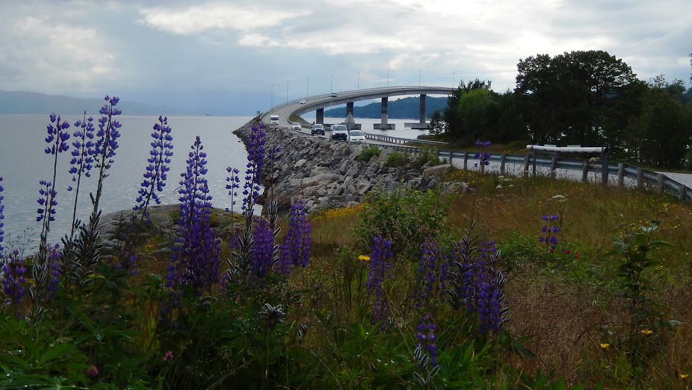 Montagne russe en Norvège, à Molde