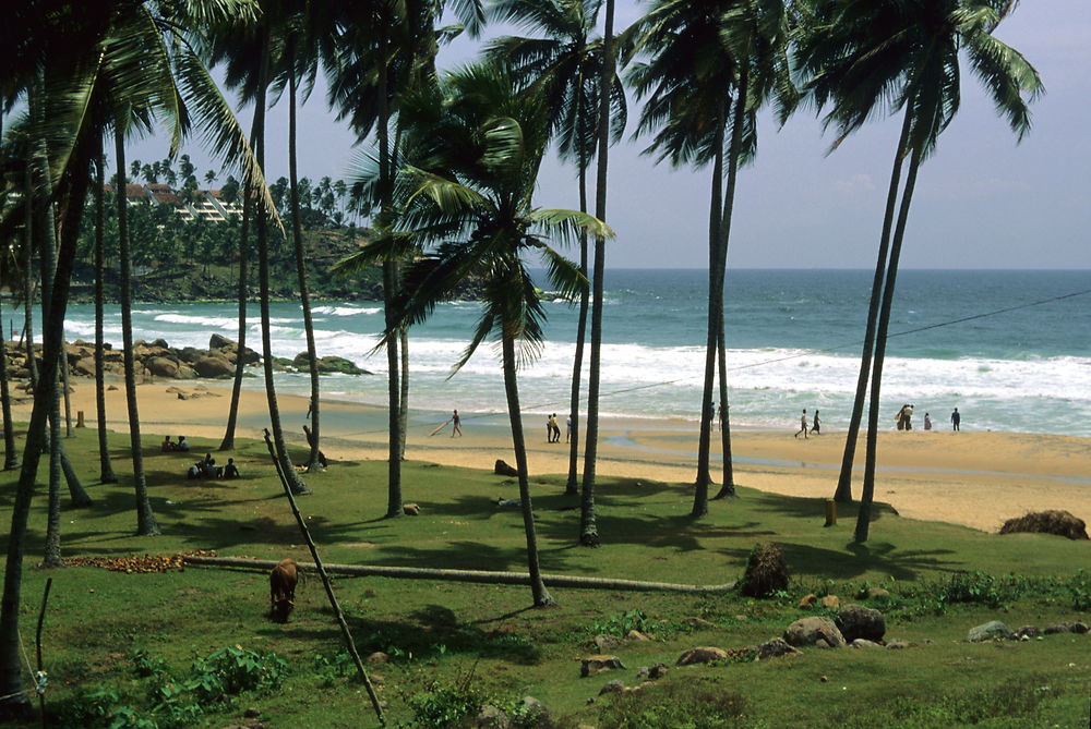 Kovalam beach