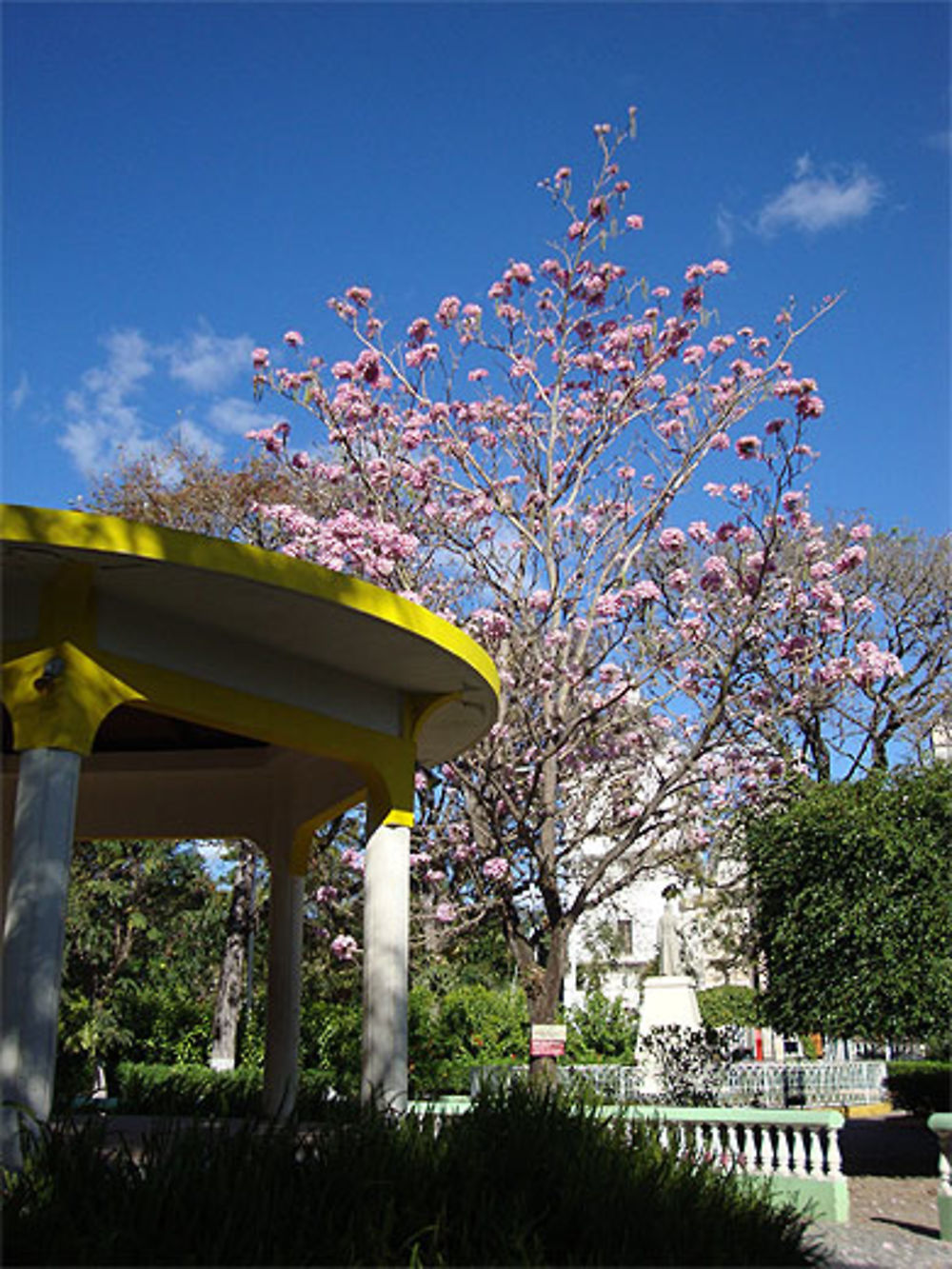 Parque Central