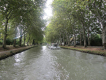 Le Canal du Midi aux environs de Carcassonne (direction Toulouse)