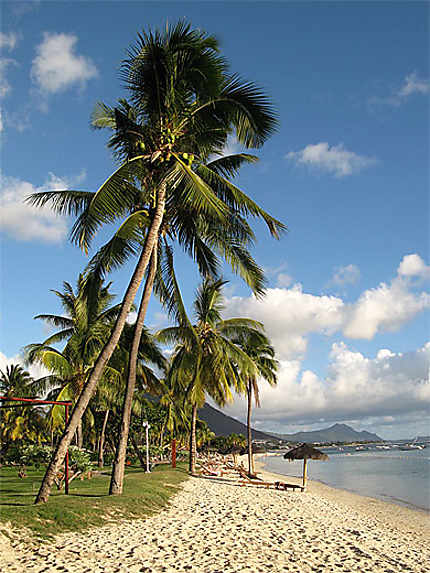 Plage flic en flac