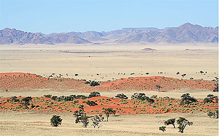 Désert de Namibie
