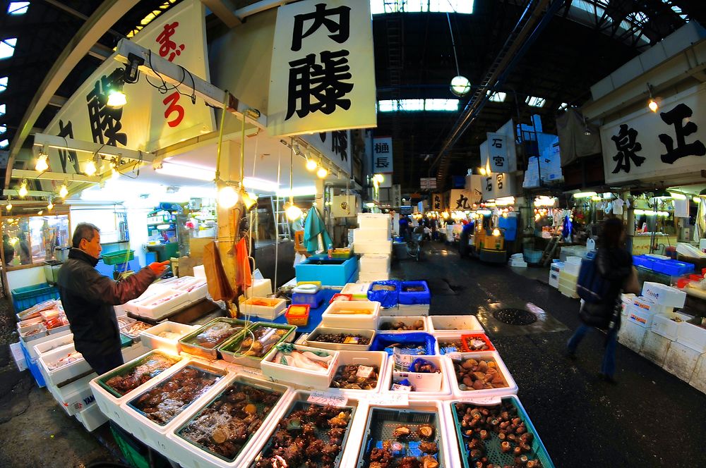 Tsukiji fish market