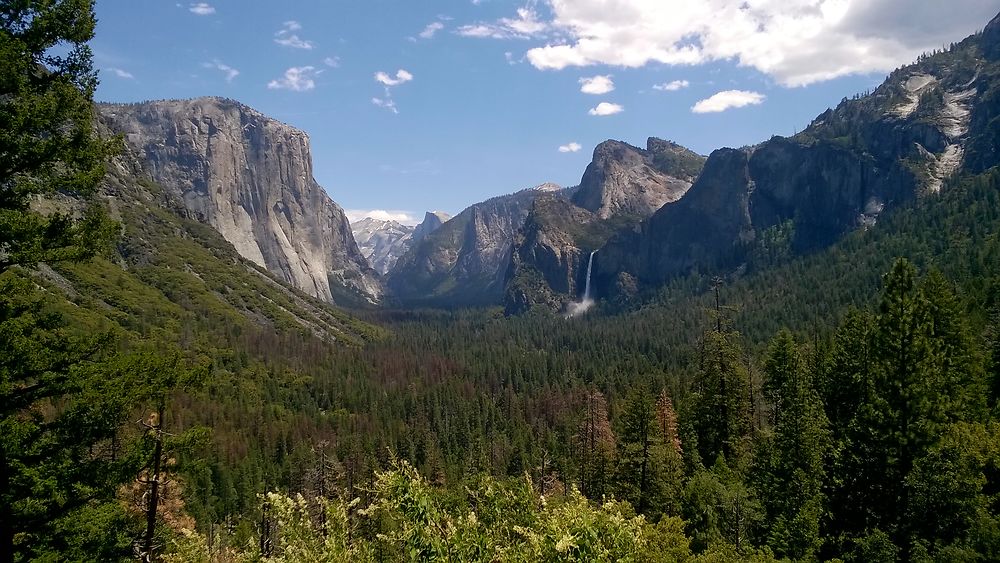 Yosemite valley