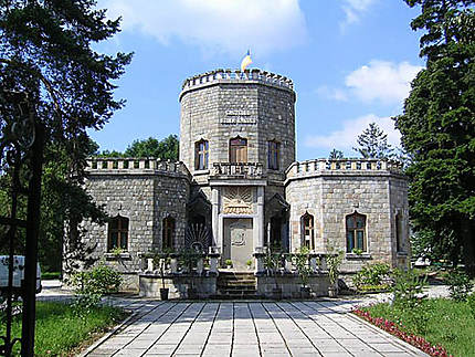 Le château Iulia Hasdeu à Campina