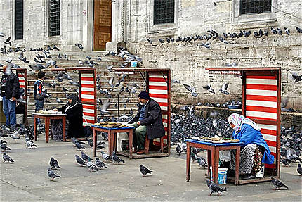 Paradis des pigeons devant la Mosquée Neuve