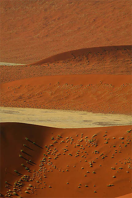Desert de Namib