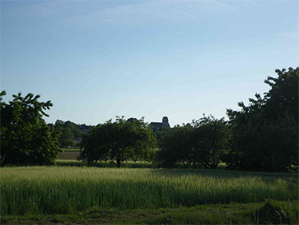 Eglise d'Auxy