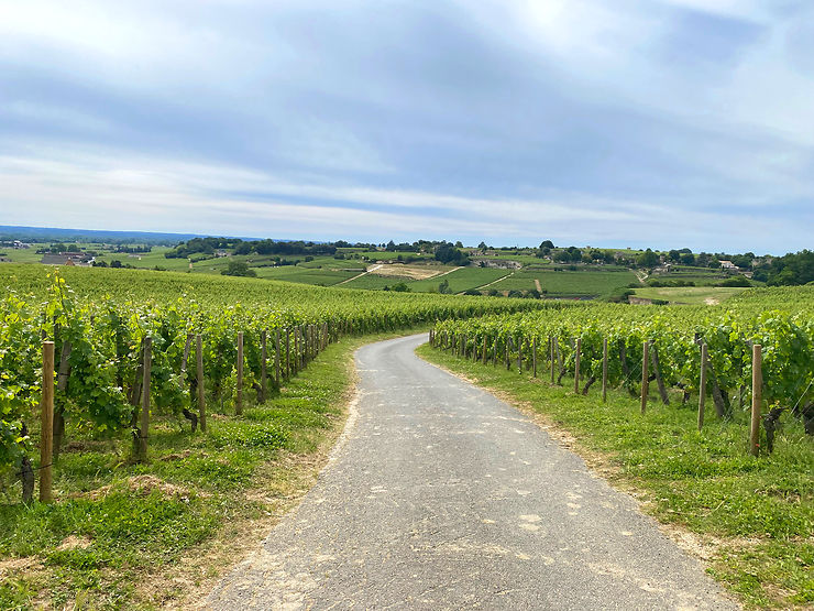 Découverte des vignobles classiques ou insolites