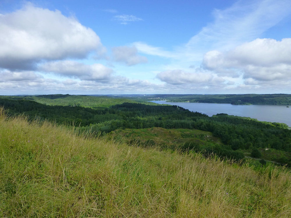 Lac et forêt